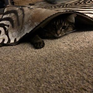 Meet your Posher, Sandra